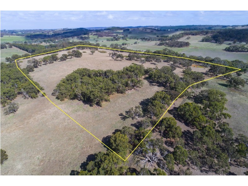 A64 Shadygrove Road, Paris Creek SA 5201