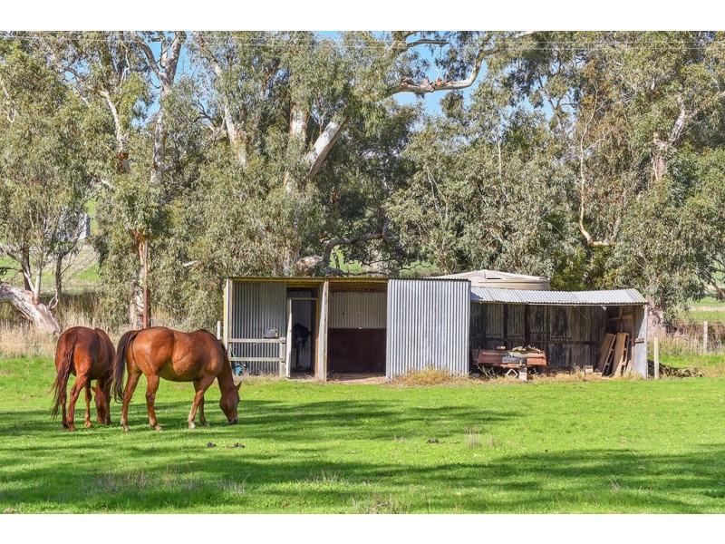 123 Buchanan Road, Hope Forest SA 5172