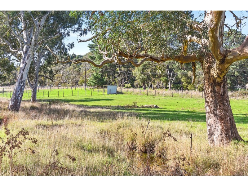 123 Buchanan Road, Hope Forest SA 5172