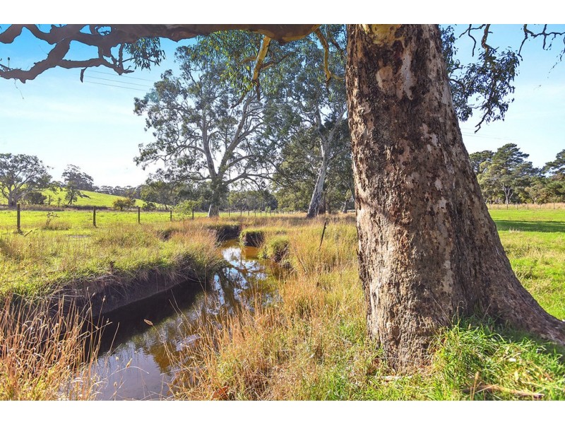 123 Buchanan Road, Hope Forest SA 5172