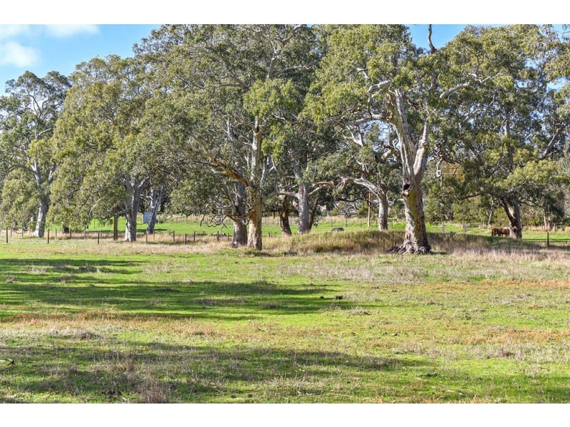 123 Buchanan Road, Hope Forest SA 5172