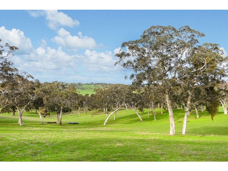 314 Mosquito Hill Road, Mosquito Hill SA 5214