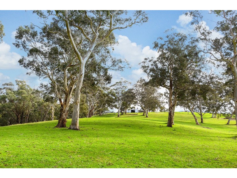 314 Mosquito Hill Road, Mosquito Hill SA 5214