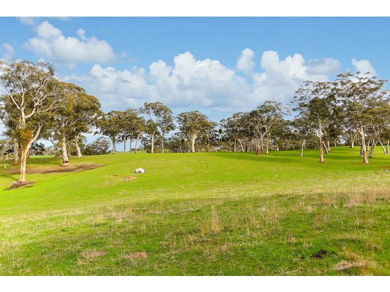 314 Mosquito Hill Road, Mosquito Hill SA 5214