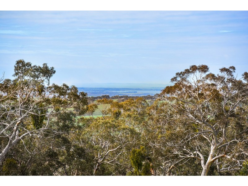 314 Mosquito Hill Road, Mosquito Hill SA 5214