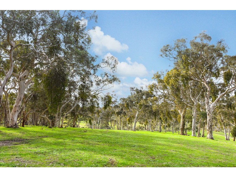 314 Mosquito Hill Road, Mosquito Hill SA 5214