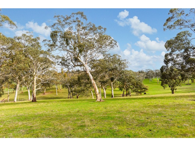 314 Mosquito Hill Road, Mosquito Hill SA 5214