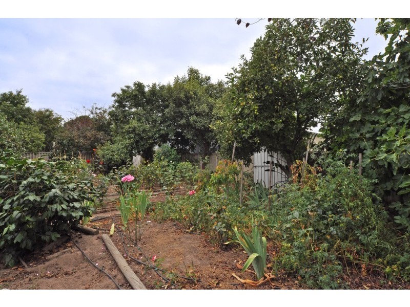 14 Colman Ave, Mccracken SA 5211