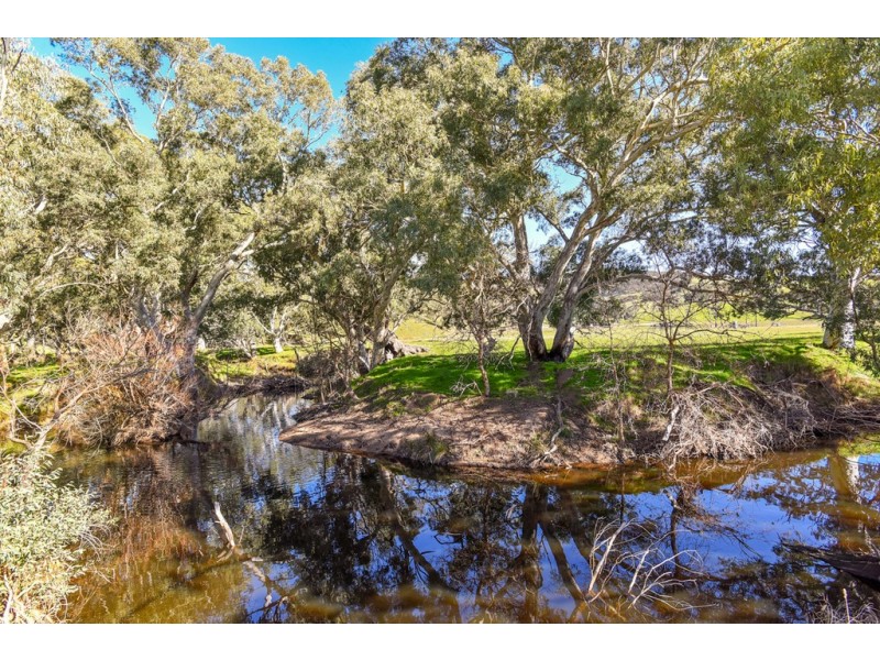 420 Signal Flat Road, Ashbourne SA 5157