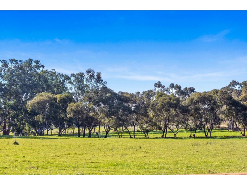420 Signal Flat Road, Ashbourne SA 5157