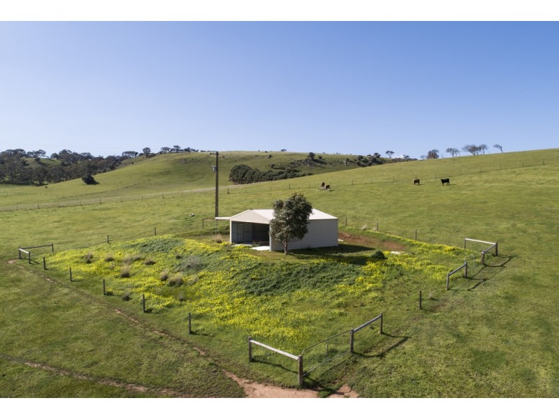 A101 Wattle Flat Road, Strathalbyn SA 5255