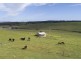 A101 Wattle Flat Road, Strathalbyn SA 5255