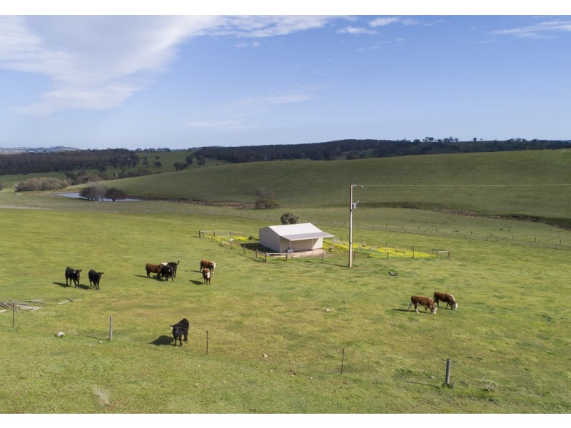 A101 Wattle Flat Road, Strathalbyn SA 5255