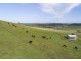 A101 Wattle Flat Road, Strathalbyn SA 5255