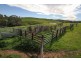 A101 Wattle Flat Road, Strathalbyn SA 5255