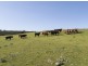 A101 Wattle Flat Road, Strathalbyn SA 5255