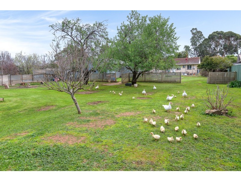 34 ASHBOURNE ROAD, Strathalbyn SA 5255