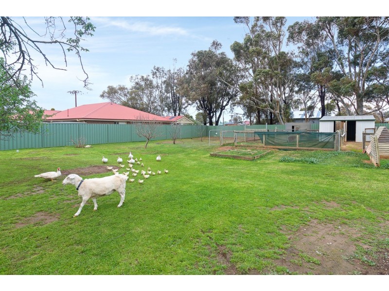 34 ASHBOURNE ROAD, Strathalbyn SA 5255