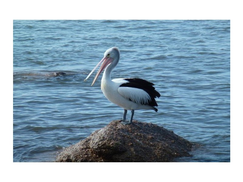 35 A Franklin Parade, Encounter Bay SA 5211