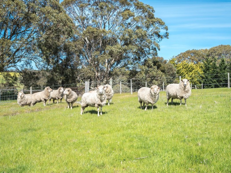 46 Roads Lane, Inman Valley SA 5211