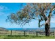 3957 Victor Harbor Road, Hindmarsh Valley SA 5211