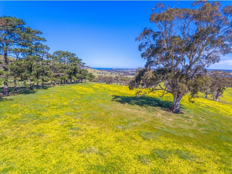 3957 Victor Harbor Road, Hindmarsh Valley SA 5211