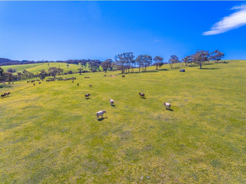 3957 Victor Harbor Road, Hindmarsh Valley SA 5211