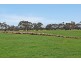 1296 Alexandrina Rd, Finniss SA 5255