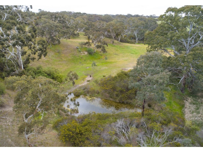 1296 Alexandrina Rd, Finniss SA 5255