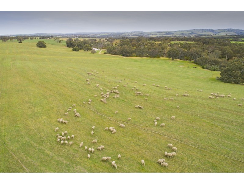 1296 Alexandrina Rd, Finniss SA 5255