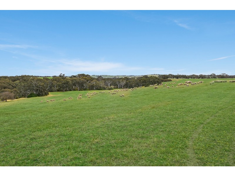 1296 Alexandrina Rd, Finniss SA 5255