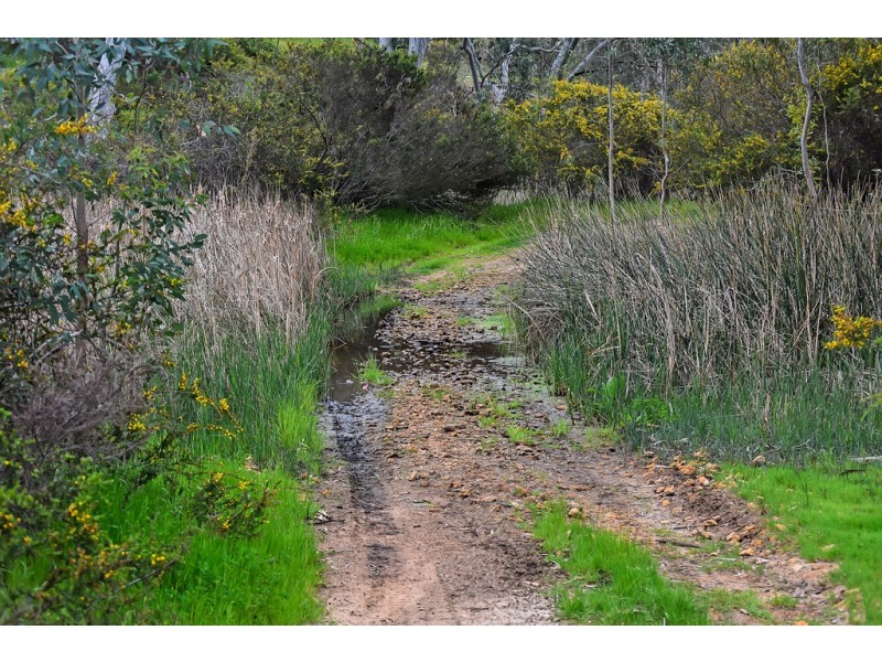 1296 Alexandrina Rd, Finniss SA 5255