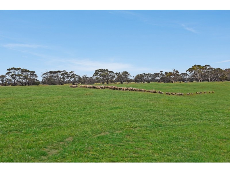 1296 Alexandrina Rd, Finniss SA 5255