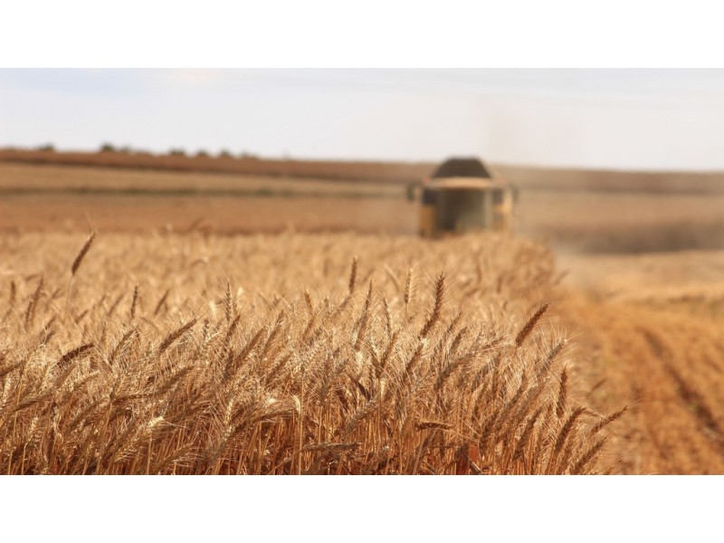 A339 Kangaroo Road, Langhorne Creek SA 5255