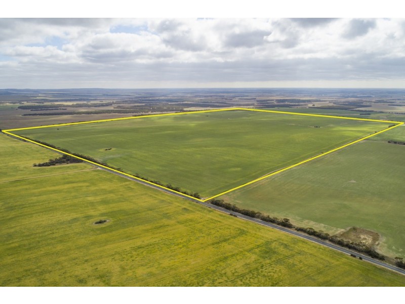 A339 Kangaroo Road, Langhorne Creek SA 5255