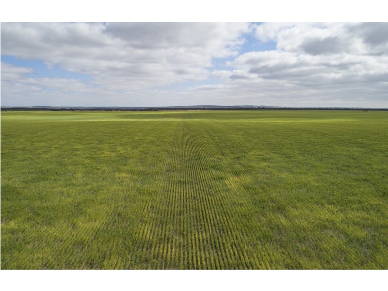 A339 Kangaroo Road, Langhorne Creek SA 5255