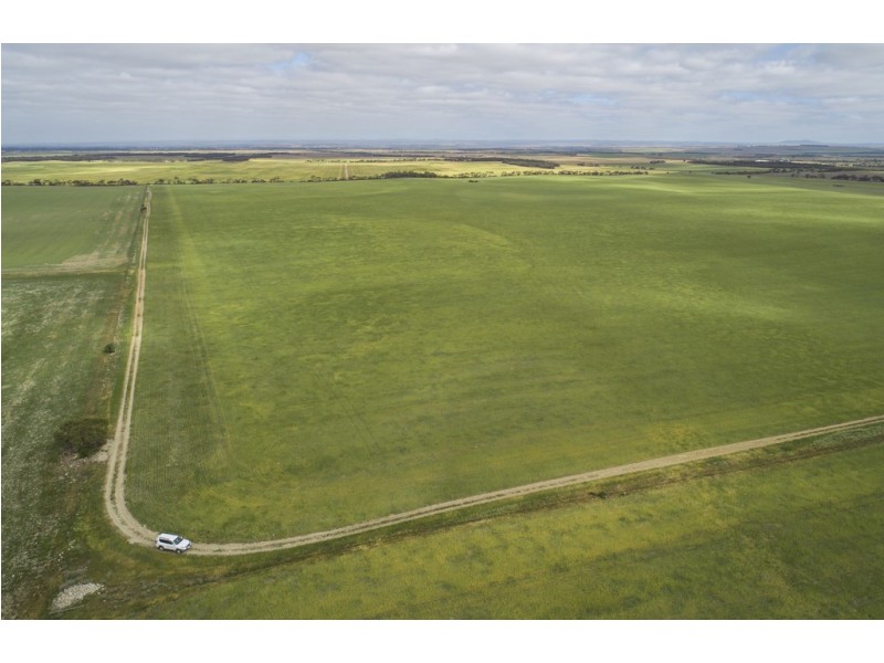 A339 Kangaroo Road, Langhorne Creek SA 5255