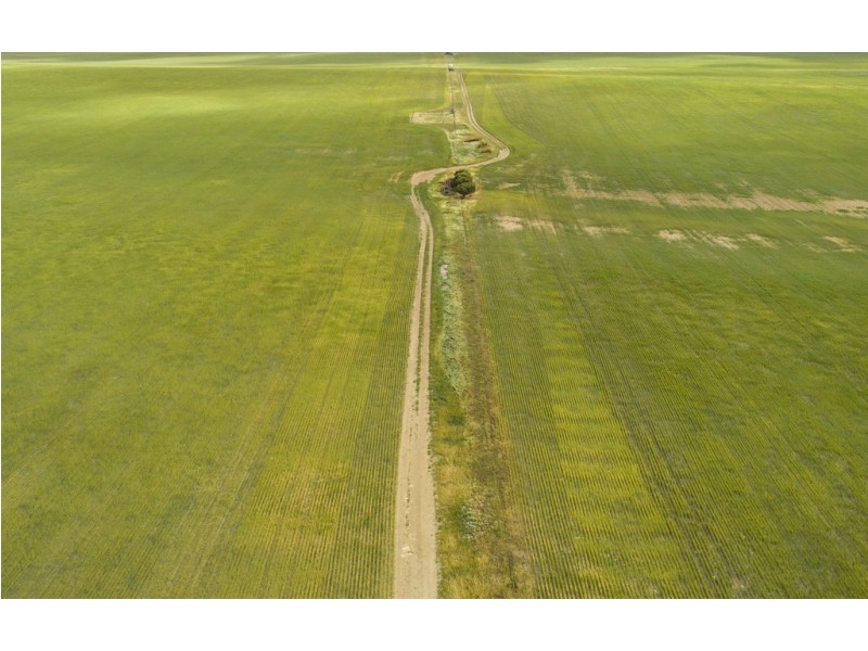 A339 Kangaroo Road, Langhorne Creek SA 5255