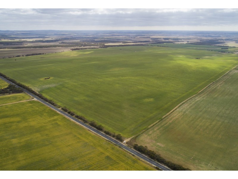 A339 Kangaroo Road, Langhorne Creek SA 5255