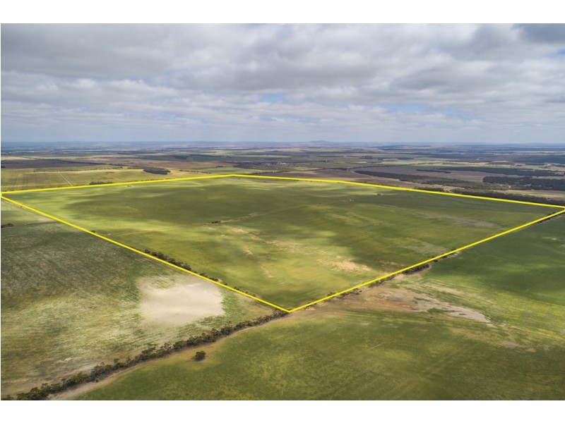 A339 Kangaroo Road, Langhorne Creek SA 5255