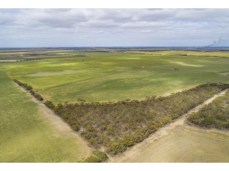A339 Kangaroo Road, Langhorne Creek SA 5255