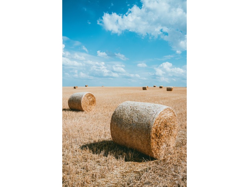 A339 Kangaroo Road, Langhorne Creek SA 5255