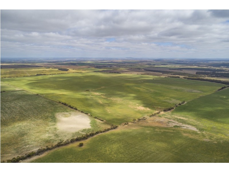 A339 Kangaroo Road, Langhorne Creek SA 5255