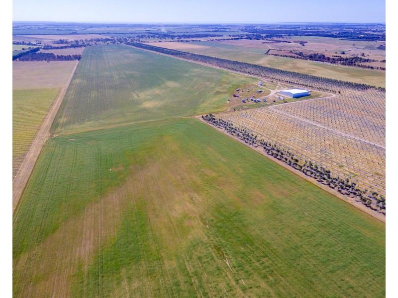 556 FINNISS-CLAYTON ROAD, Finniss SA 5255