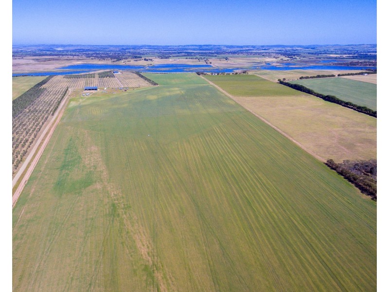 556 FINNISS-CLAYTON ROAD, Finniss SA 5255