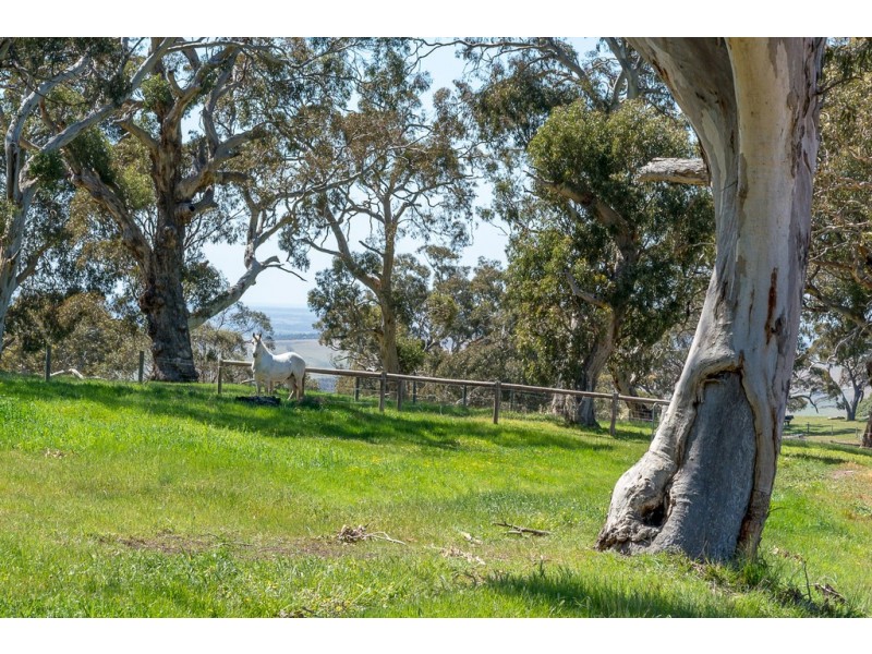 925 Goolwa Road, Mosquito Hill SA 5214