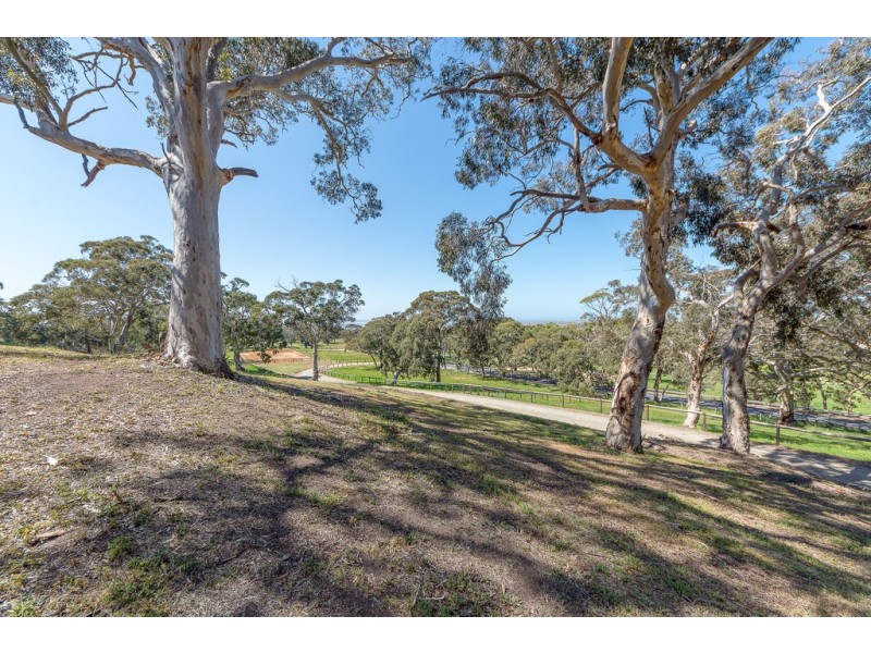 925 Goolwa Road, Mosquito Hill SA 5214