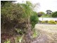 18 Marlborough Ave, Victor Harbor SA 5211