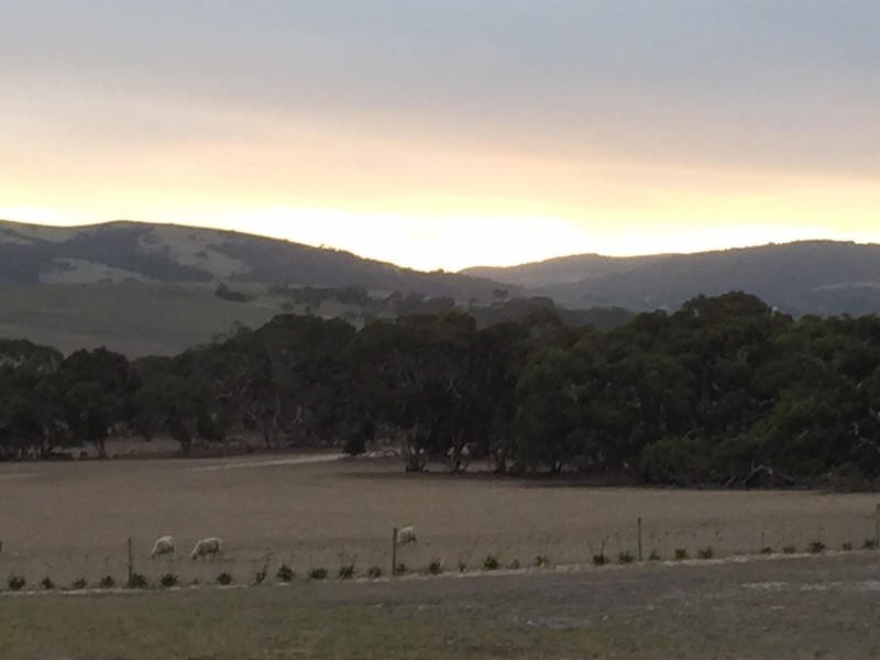 150 HUNTS ROAD, Mount Compass SA 5210