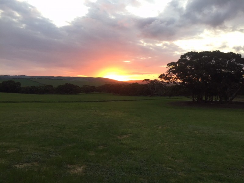 150 HUNTS ROAD, Mount Compass SA 5210